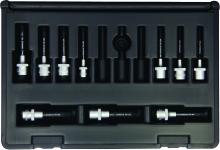 Bondhus 31038 - Set 10 ProHold TorxÂ® Bits 2" (T10-T55) w/Sockets in Molded Black Case