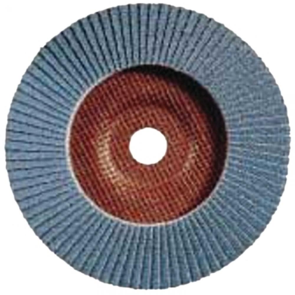 Pferd Type 27 POLIFAN SG Flap Discs