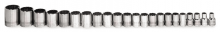 Williams JHWMSB-20RC - 20 pc 3/8" Drive 12-Point Metric Shallow Socket Set on Rail and Clips