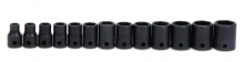 Williams JHWWS-2-13 - 13 pc 3/8" Drive 6-Point SAE Shallow Socket Set on Rail and Clips